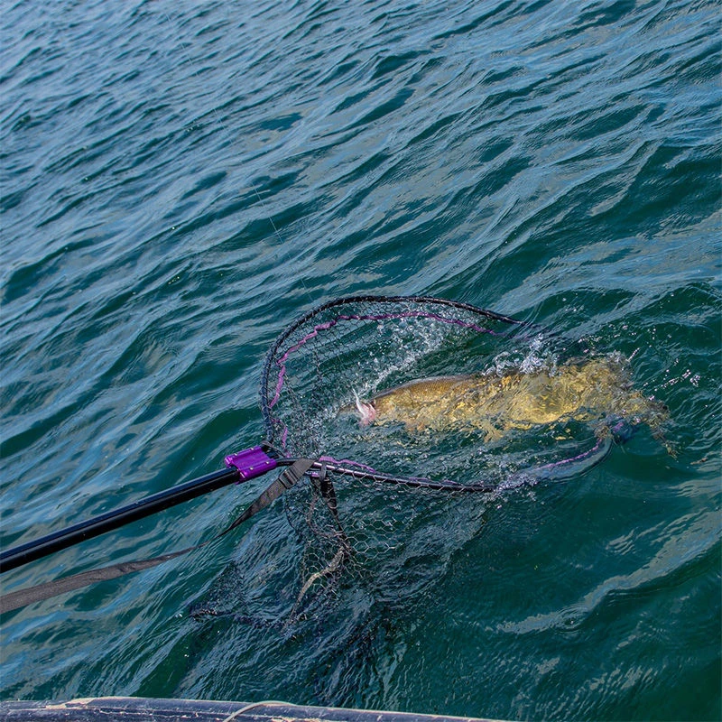 Wychwood Agitator Predator HD Nets